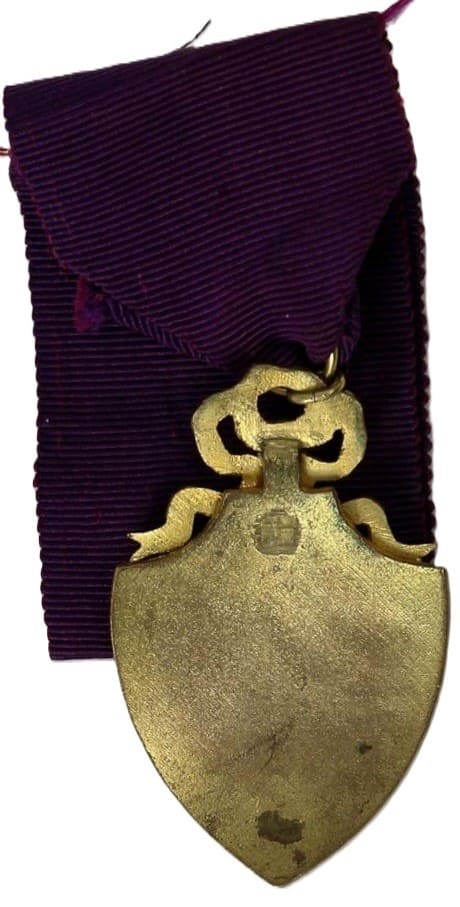 Russian Red Cross Society  Provisional Government Badge.jpeg