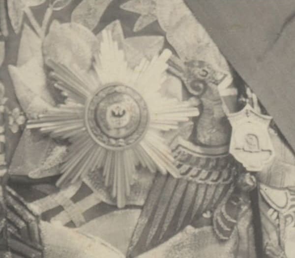 Saint Andrew breast star for Non-Christians.jpeg