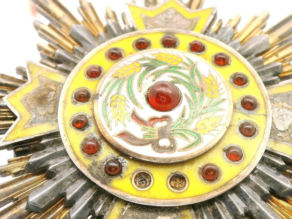 Salty 1st class  order of the Precious Brilliant Golden Grain.jpg