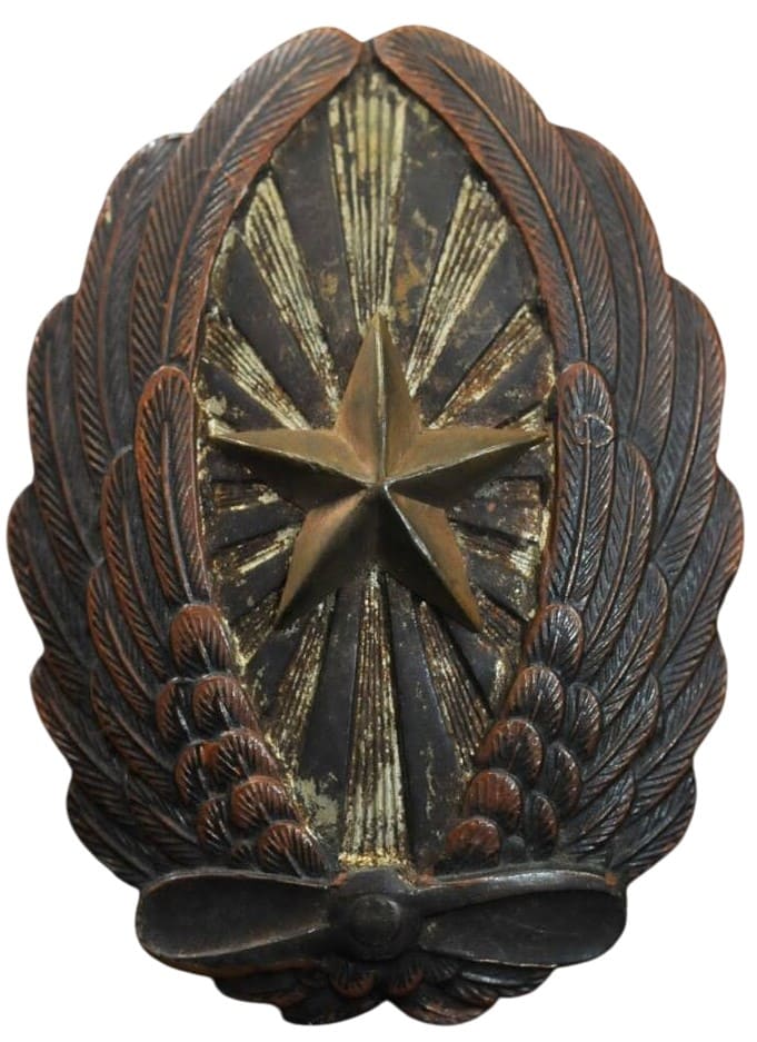 Salty Army Japanese Pilot Badge.jpeg