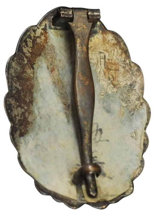 Salty Army  Japanese Pilot Badge.jpg