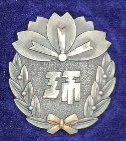 Special Merit Badge.jpg