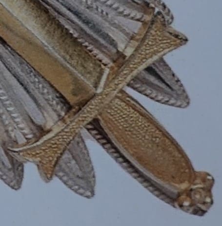 St.Alexander Nevsky Order for Non-Christians with  Swords.jpg