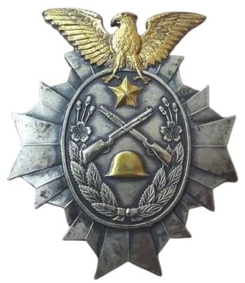 Stationing in  Manchuria Commemorative Badge.jpeg