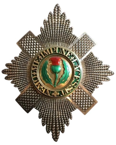 Unmarked fake breast of the Thistle order made by Rothe.jpg