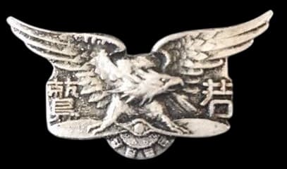 Wakawashi young military aviator badge.jpg