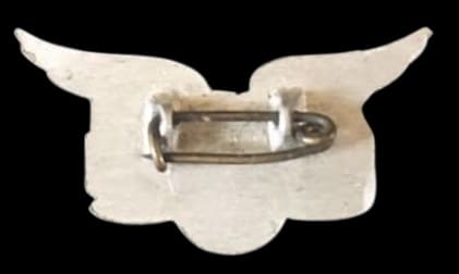 Wakawashi  young military aviator badge .jpg