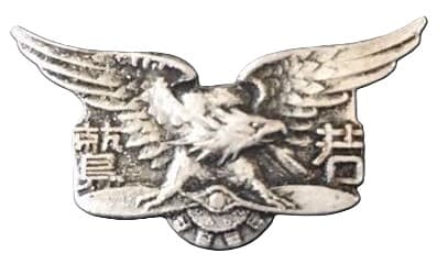Wakawashi young military aviator badge.jpg
