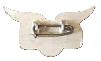 Wakawashi  young military aviator badge .jpg
