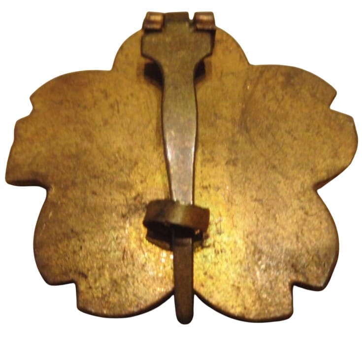 Wide Hook variation of Japanese Submariner Badge.jpg