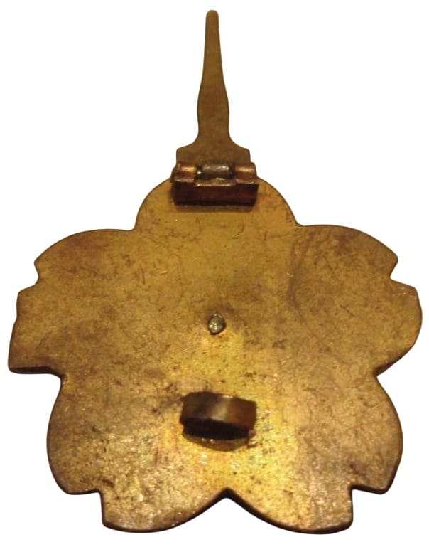 Wide Hook variation of  Japanese Submariner Badge .jpg