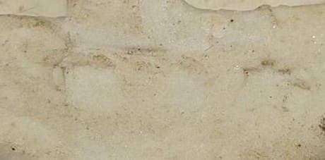 Women's Patriotic Association  Obidome.jpg