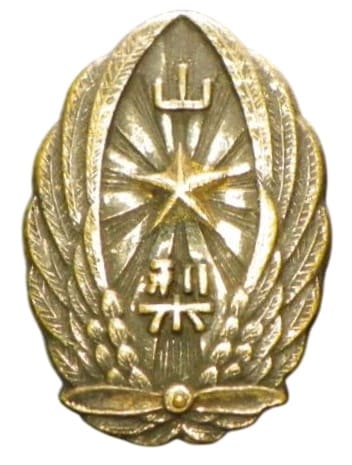 Yamanashi Army Air Corps Badge.jpg