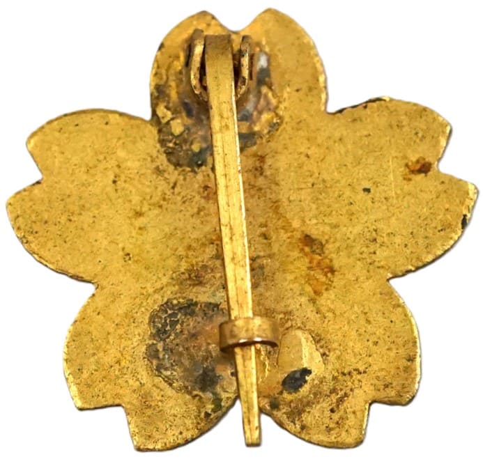 Youth School   Badge.jpg