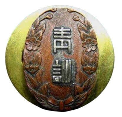 Youth School Instructor's Badge.jpg