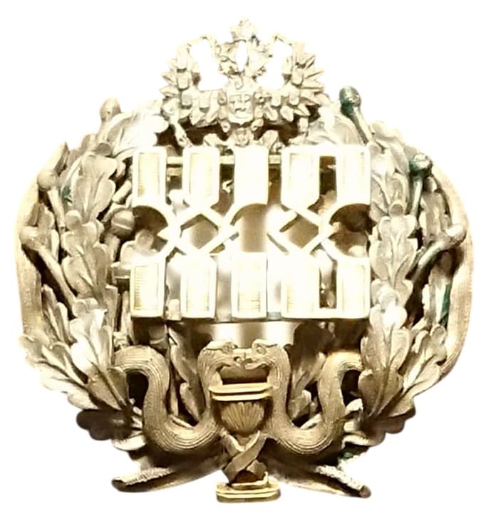 Знак для окончивших учение на женских врачебных курсах при Санкт-Петербургском Николаевском военном госпитале. 1880 г..jpg