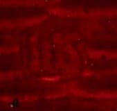 Знак ордена Святого  равноапостольного князя Владимира 4-й степени IK — копия (2).jpg