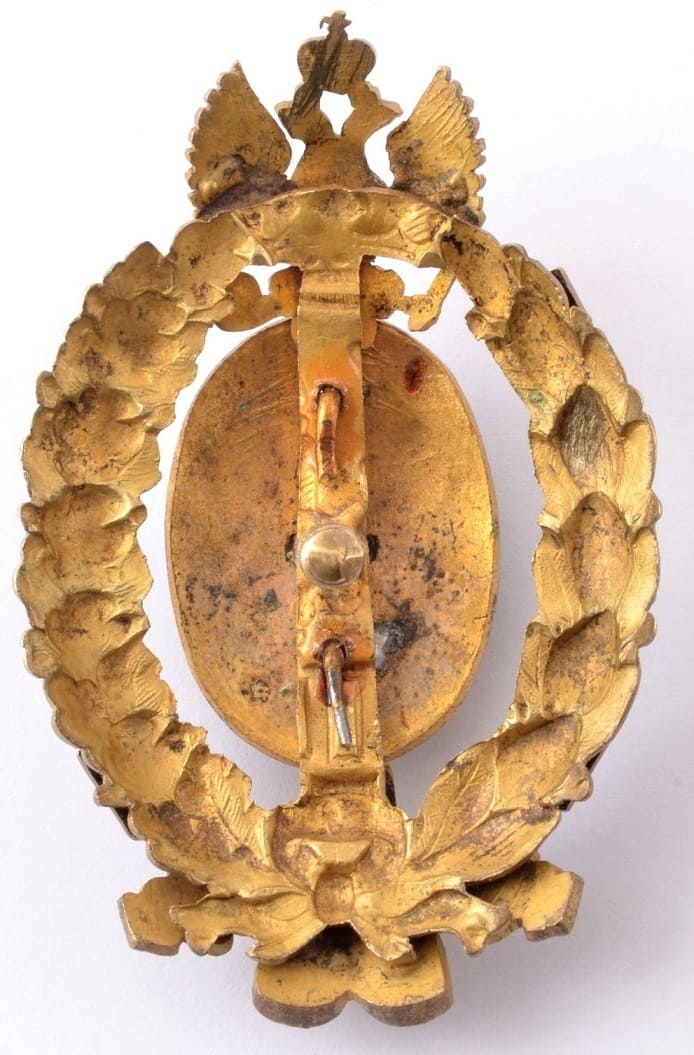 Знак  в память 50-летия земских учреждений  в бронзе.jpg